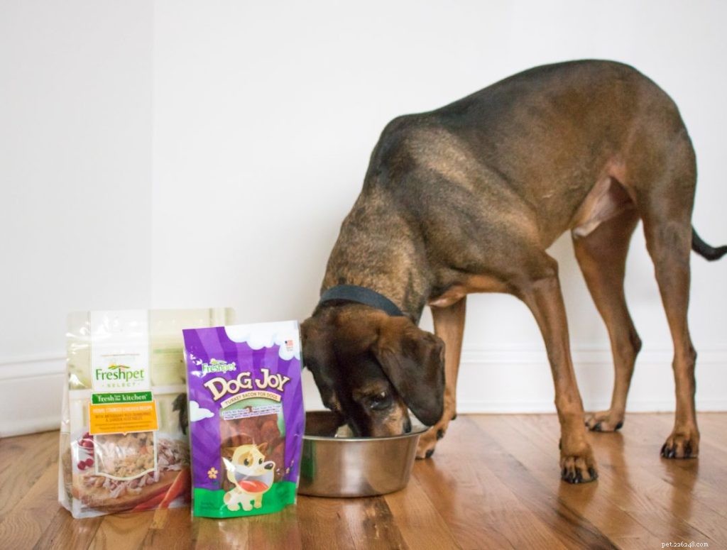 Kickstart a Healthier Lifestyle with Our 30‑Day Fresh Meal Plan for You & Your Pet