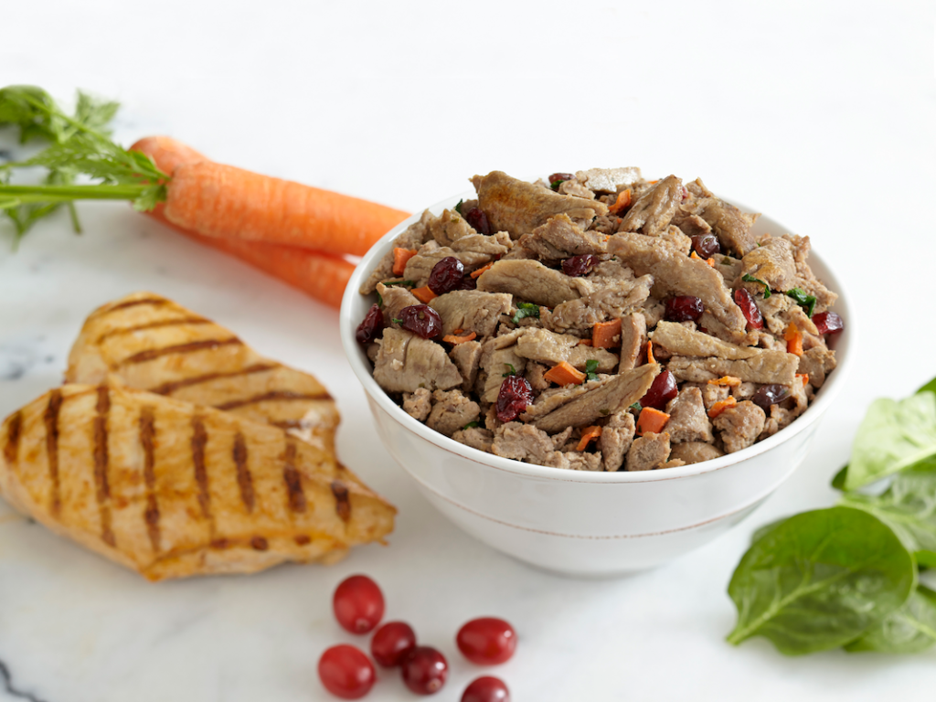 Is Your Dog Skipping Meals? Spotting and Fixing Distracted Eating