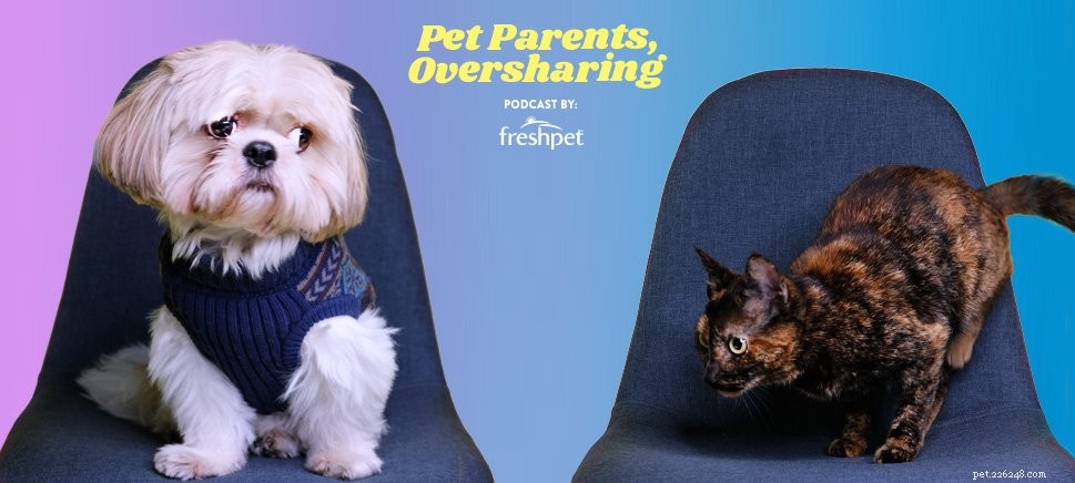 Top Pet‑Parent Podcasts: Expert Advice for Dogs and Cats