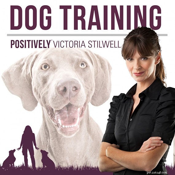 Top Pet‑Parent Podcasts: Expert Advice for Dogs and Cats