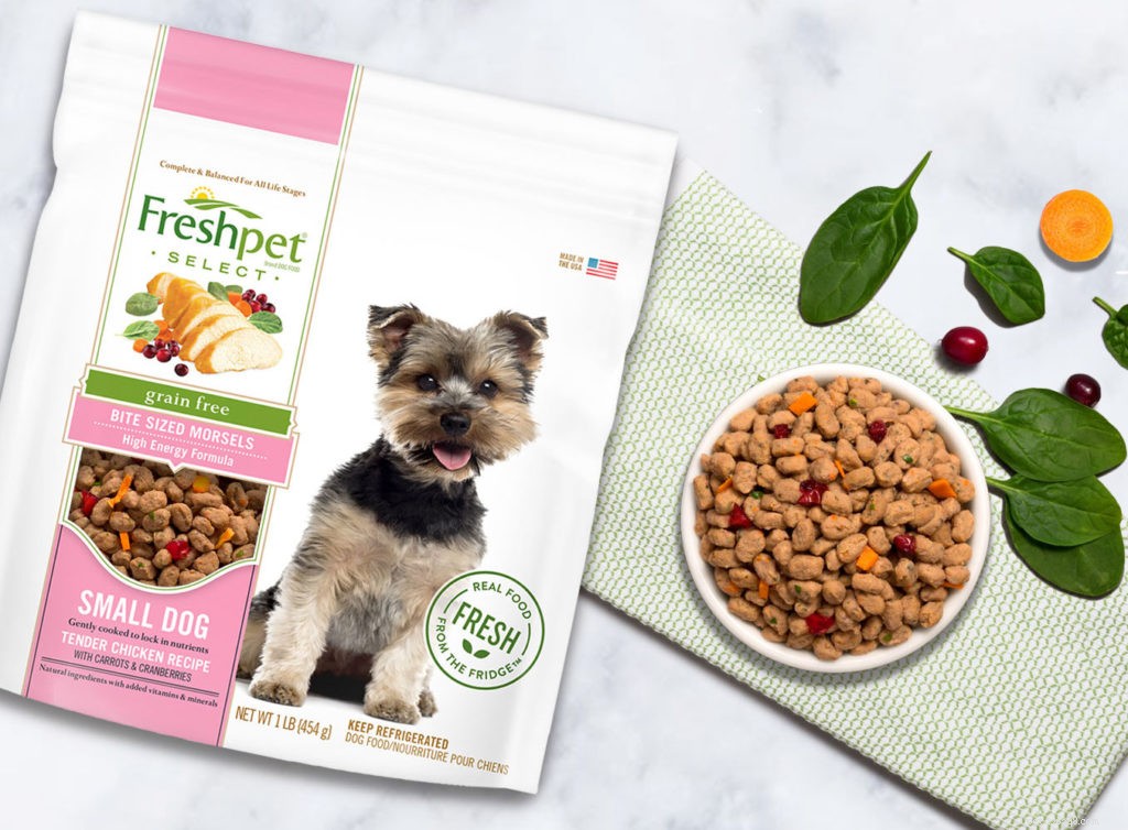 Choosing the Right Food for Your Small‑Breed Dog: Expert Tips