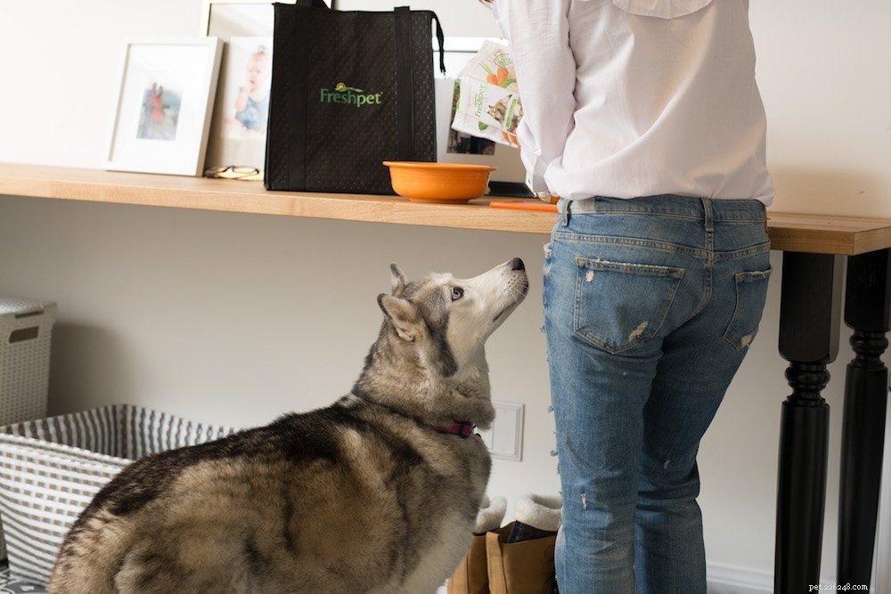 Strengthen Your Bond: Proven Ways to Enhance Your Relationship with Your Dog