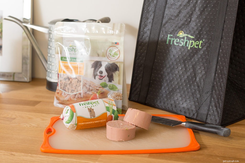 Host a Memorable Dog Birthday Bash: A Guide to a Healthy, Fun Puppy Party
