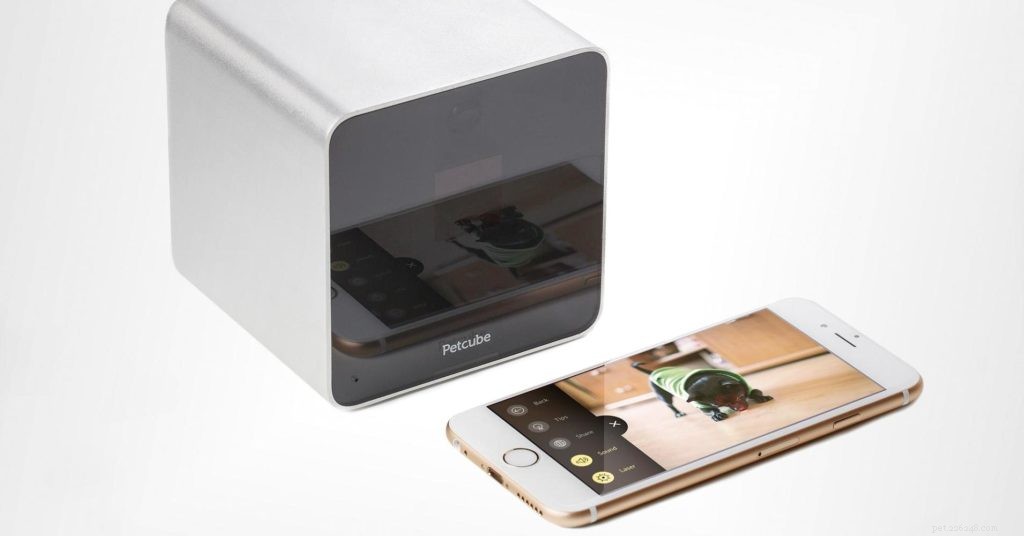 Top Pet Cameras: Monitor and Interact with Your Furry Friends Anytime