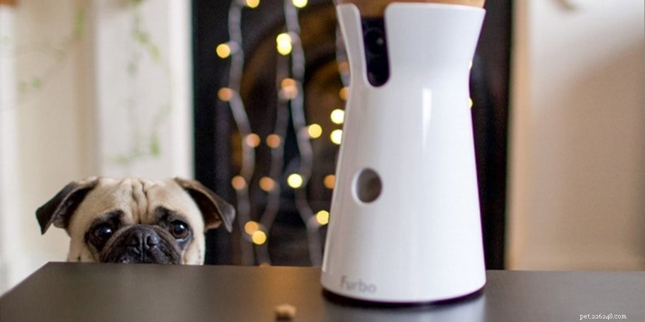 Top Pet Cameras: Monitor and Interact with Your Furry Friends Anytime