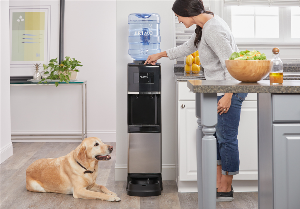 Keep Your Pet Cool & Hydrated This Summer: 5 Proven Strategies