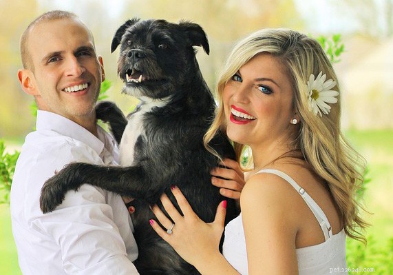 5 Charming Ways to Feature Your Pet at Your Wedding