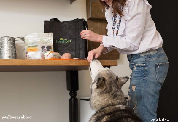 Decoding Pet Food Labels: Are You Feeding Real Meat or Just Meal?