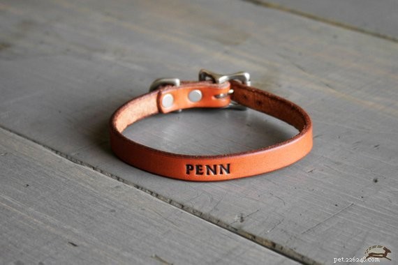 Unforgettable Holiday Gifts for Your Pets: Top 7 Unique Picks