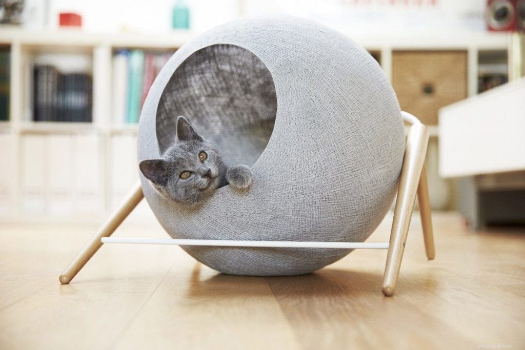 Unforgettable Holiday Gifts for Your Pets: Top 7 Unique Picks