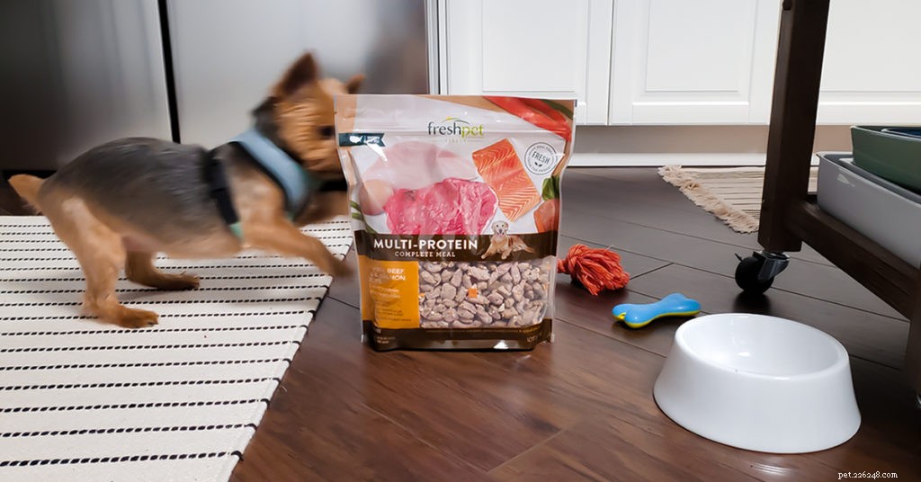 Explore 5 New Freshpet Recipes Designed for Your Dog s Health and Taste