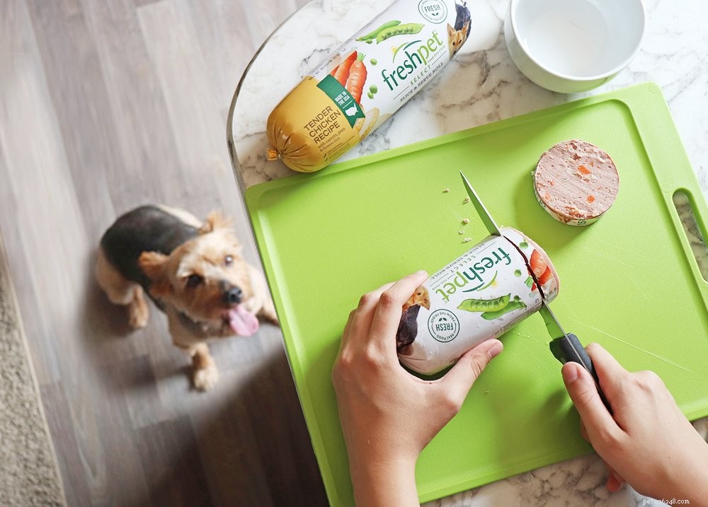 5 Proven Tricks for Easy and Stress‑Free Dog Medication