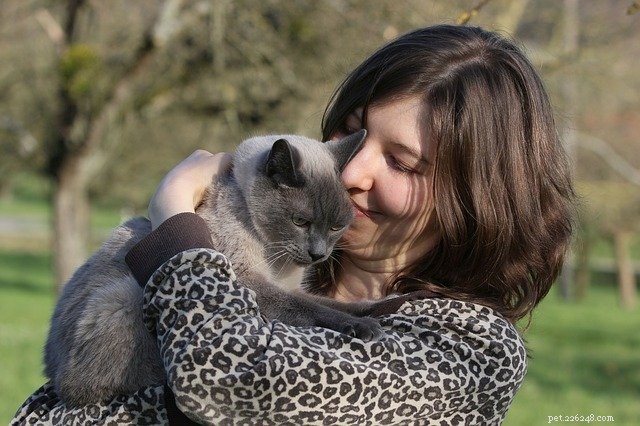 15 Common Habits Every Dedicated Pet Owner Admits to