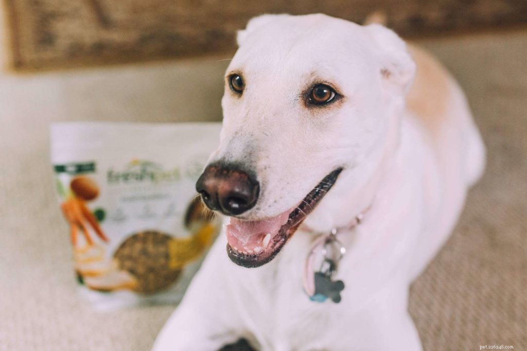 Top 5 Essential Tips to Protect Your Pets in Winter