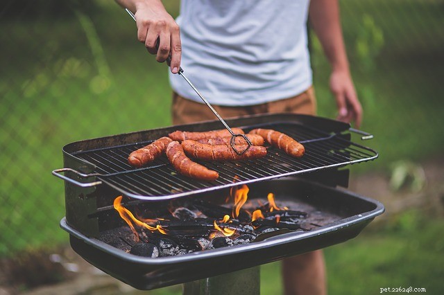 Pet-Friendly BBQ Guide: Do s and Don ts for a Safe Grill Experience