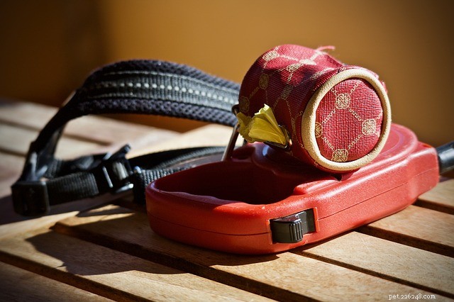 Pet Fire Safety 101: Essential Steps to Protect Your Furry Friends