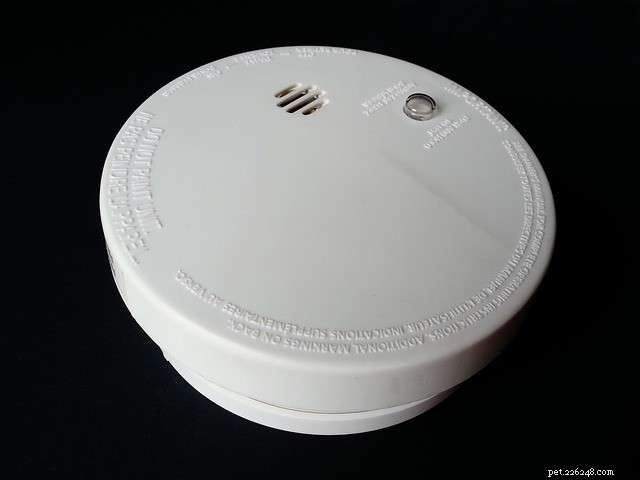 Pet Fire Safety 101: Essential Steps to Protect Your Furry Friends