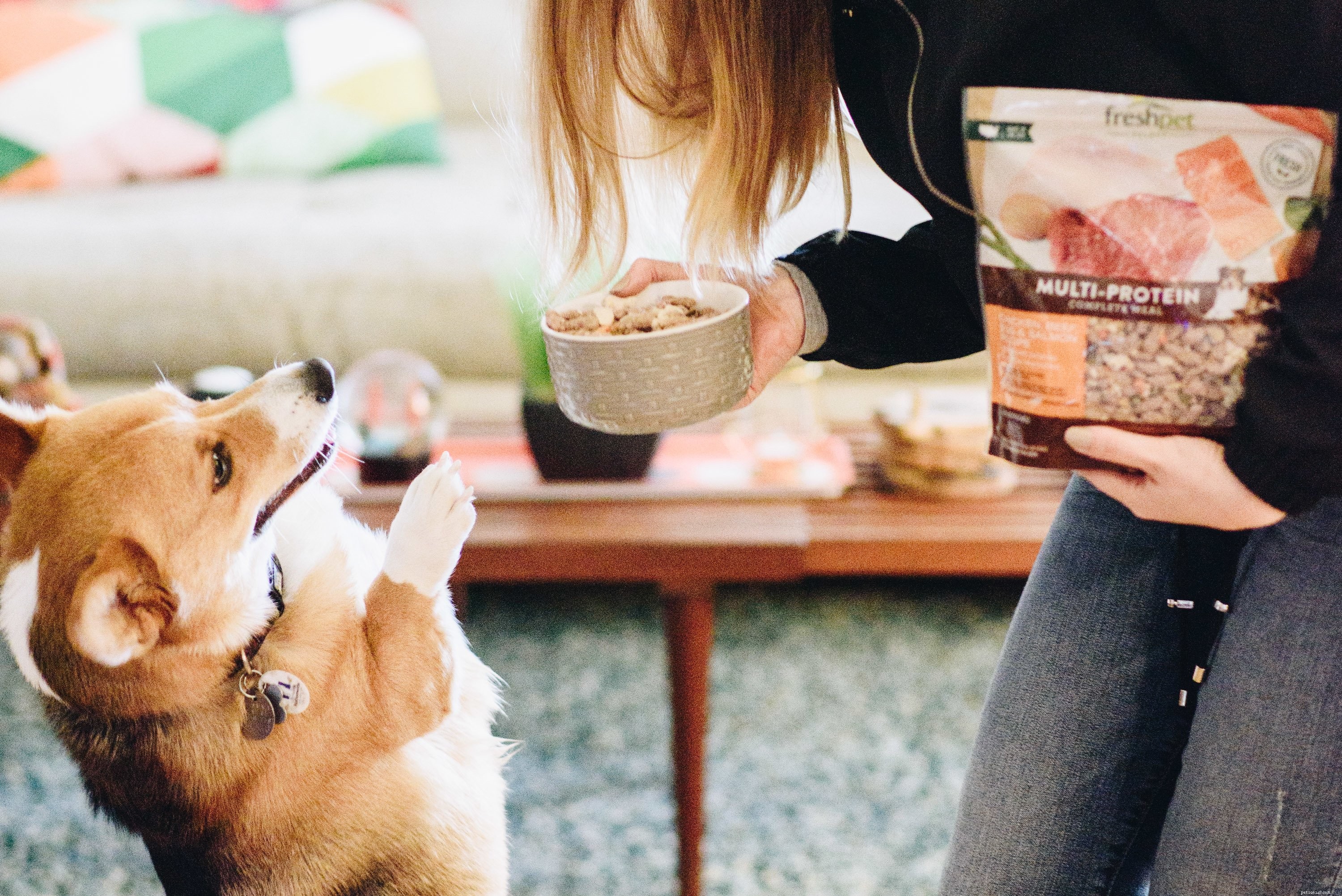 Freshpet Feeding & Storage Guide: Serve and Store Your Pet’s Fresh Food Safely