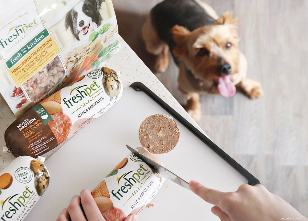 Freshpet Feeding & Storage Guide: Serve and Store Your Pet’s Fresh Food Safely