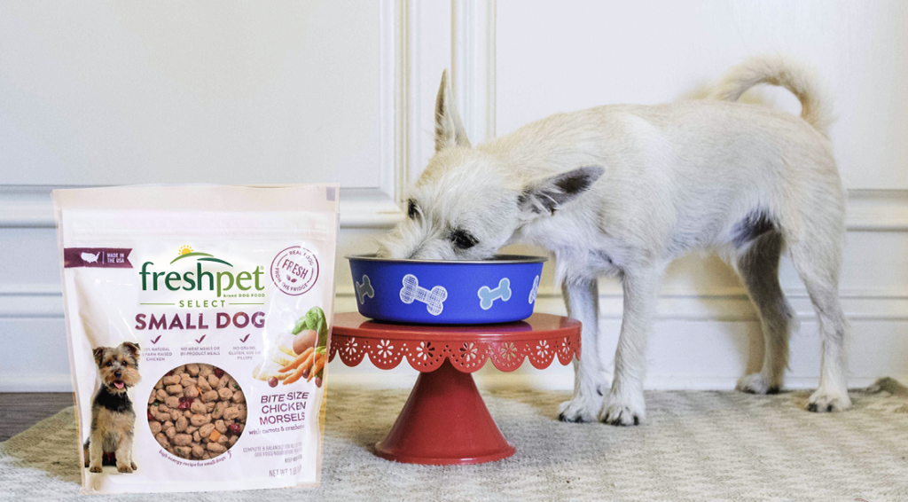 Start the New Year with Consistently Fresh Pet Food
