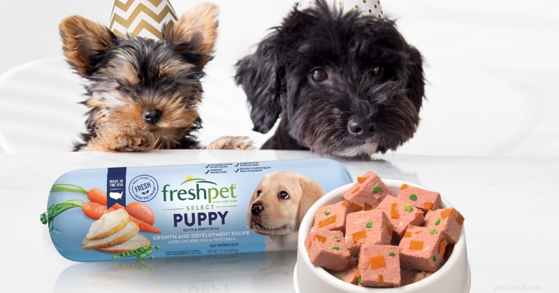 Start the New Year with Consistently Fresh Pet Food