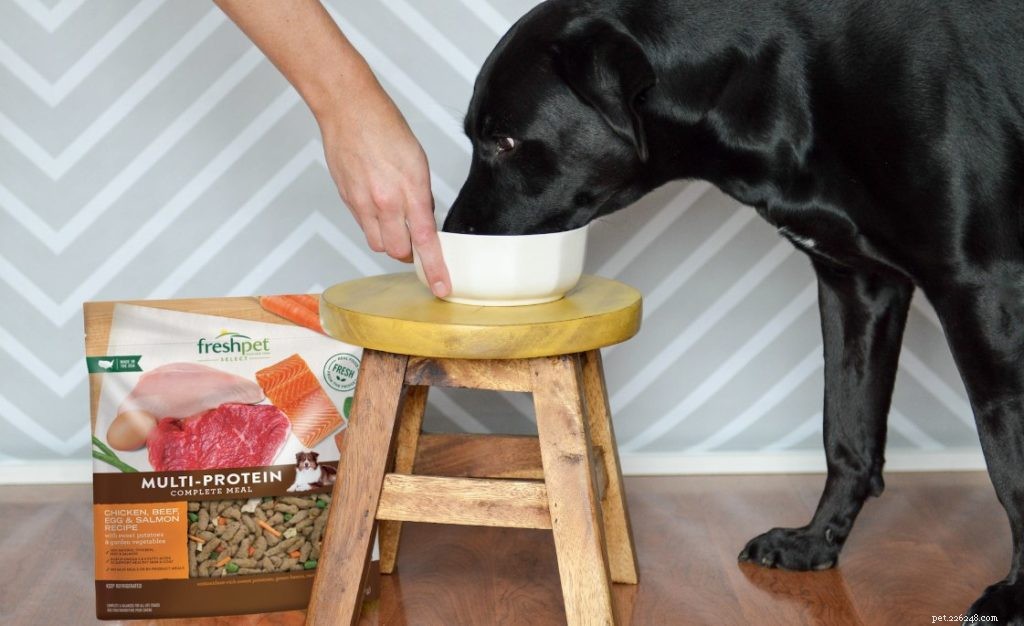 Start the New Year with Consistently Fresh Pet Food
