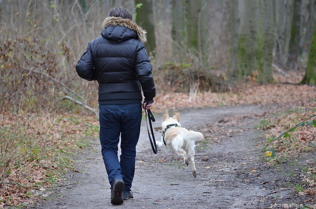 Holiday Gifts Everyone and Their Pets Will Love