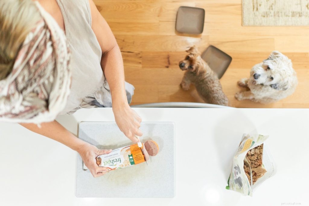 Celebrate Thanksgiving with Your Pet: A Heartwarming Guide to Show Them Love
