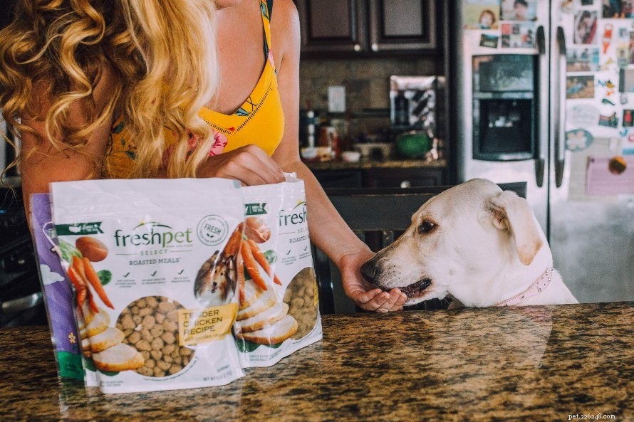 6 Key Ways Dog Moms Make Their Pets Thrive