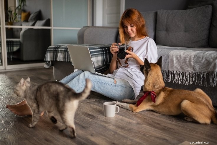 6 Key Ways Dog Moms Make Their Pets Thrive
