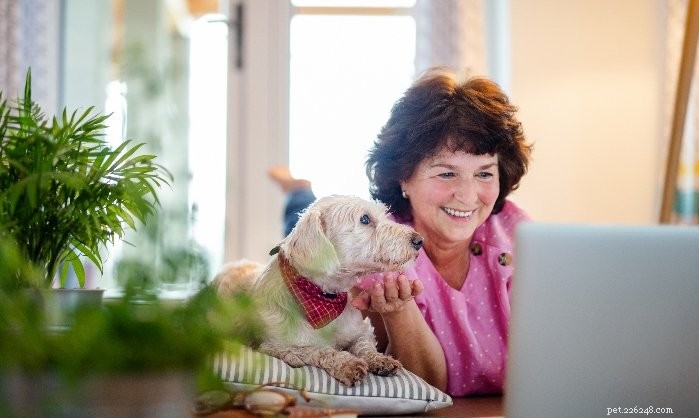 6 Key Ways Dog Moms Make Their Pets Thrive