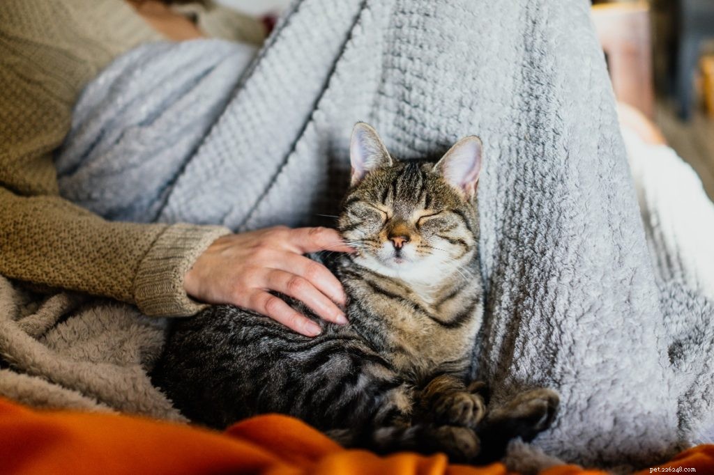 Celebrating National Pet Parents Day: The Joy and Rewards of Being a Pet Parent