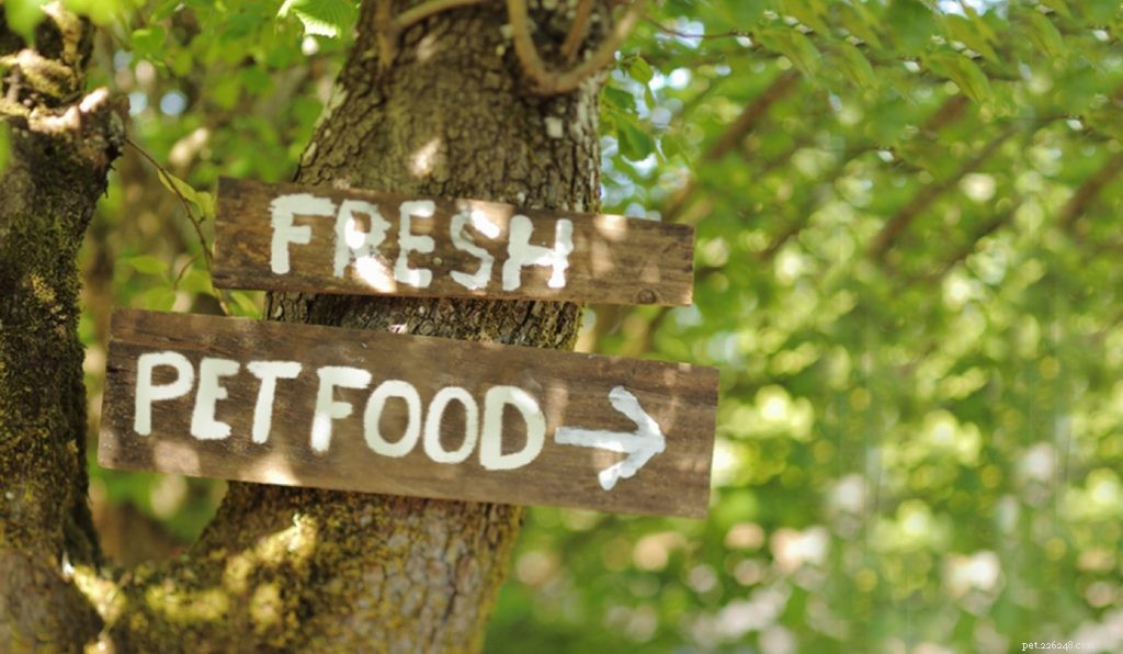 Freshpet: Doing Right for Pets, People, and the Planet