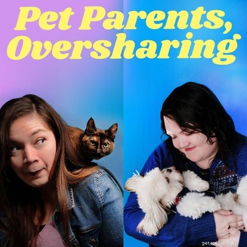 Engaging Indoor Activities Every Pet Loves