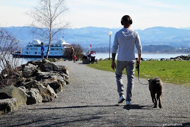 Choosing a Trusted Pet Sitter: Expert Tips