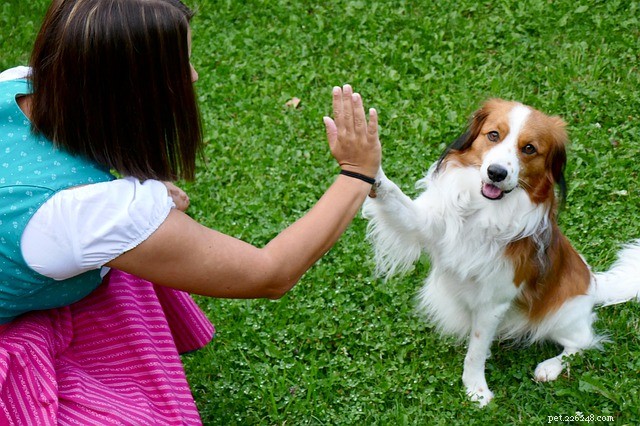 8 Proven Ways to Deepen Your Bond with Your Pet