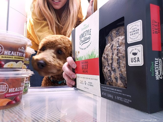 How to Order Freshpet: 3 Easy Ways to Get Fresh, Real Food for Your Pet