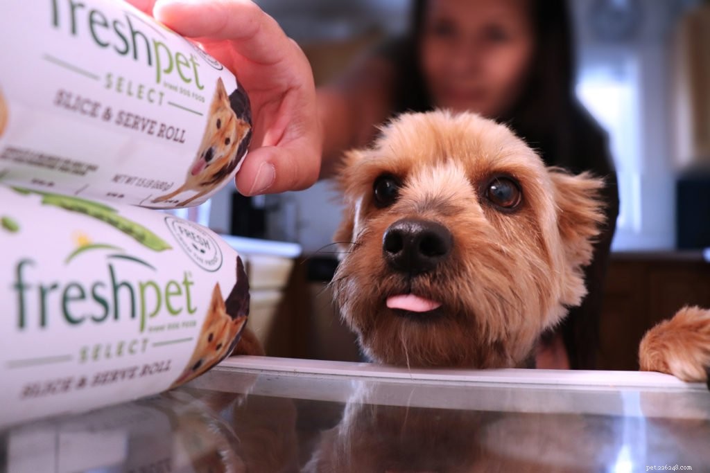 How to Order Freshpet: 3 Easy Ways to Get Fresh, Real Food for Your Pet