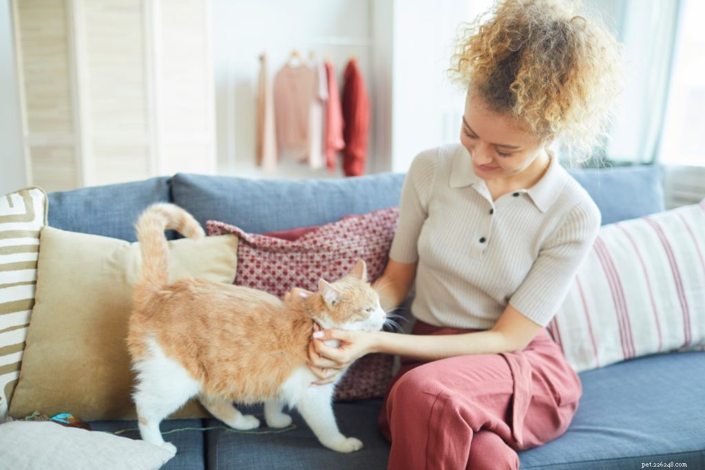 Keep Your Pet at a Healthy Weight: Proven Tips & Vet Guidance