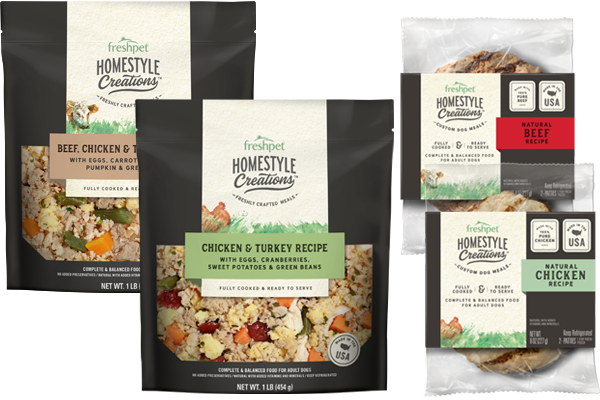 How to Transform a Picky Dog Into a Happy Eater: Proven Tips