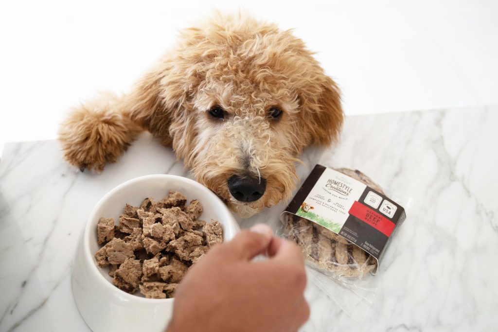Free, Fun Weekend Ideas to Share With Your Dog