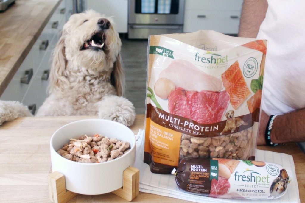 8 Essential Tips for Being a Responsible Pet Parent