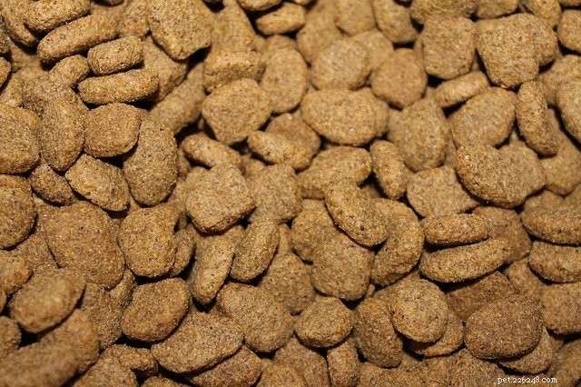 Rethinking Your Pet’s Diet: Why Kicking Kibble to the Curb Matters