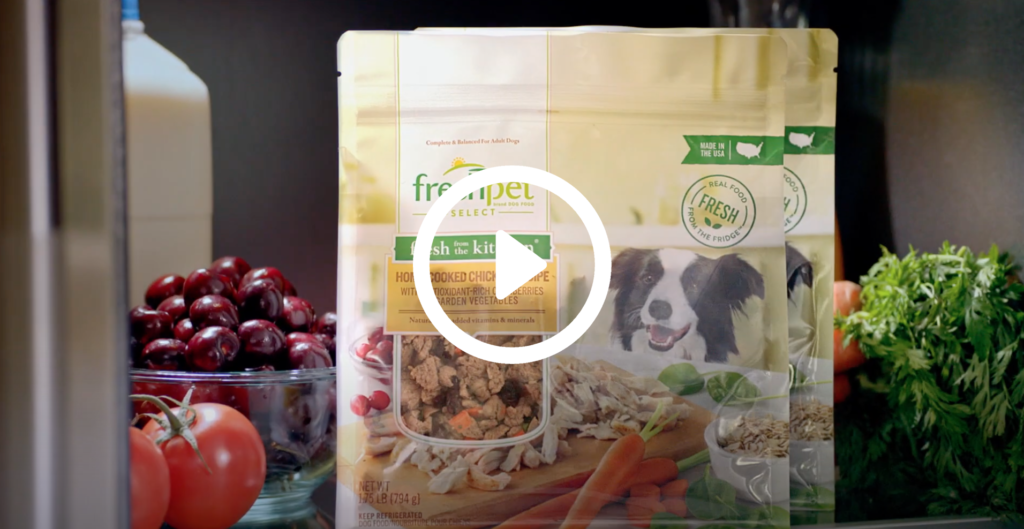 Rethinking Your Pet’s Diet: Why Kicking Kibble to the Curb Matters