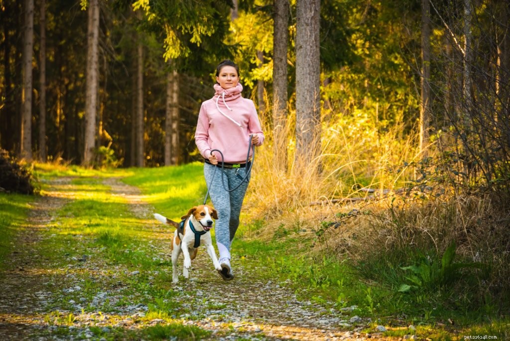Boost Your Dog’s Fitness: Expert Tips for a Revitalized Exercise Routine