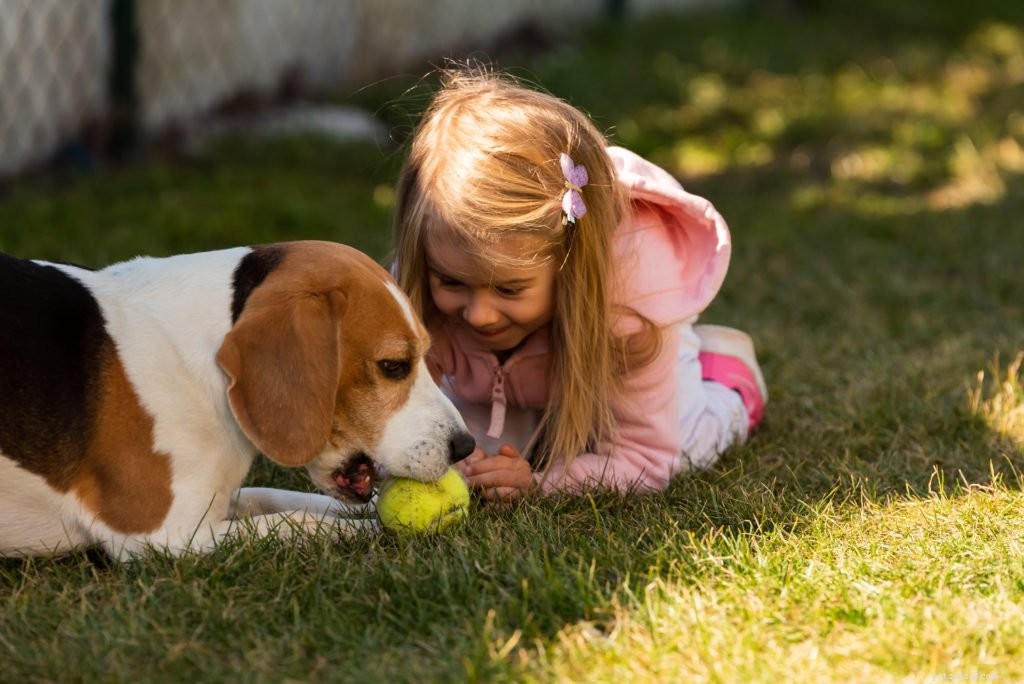 Celebrate National Dog Day: 8 Reasons to Honor Your Loyal Companion Today & Every Day