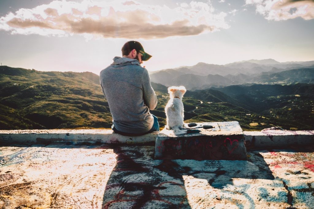 5 Essential Habits New Pet Parents Should Adopt for a Healthy, Happy Companion