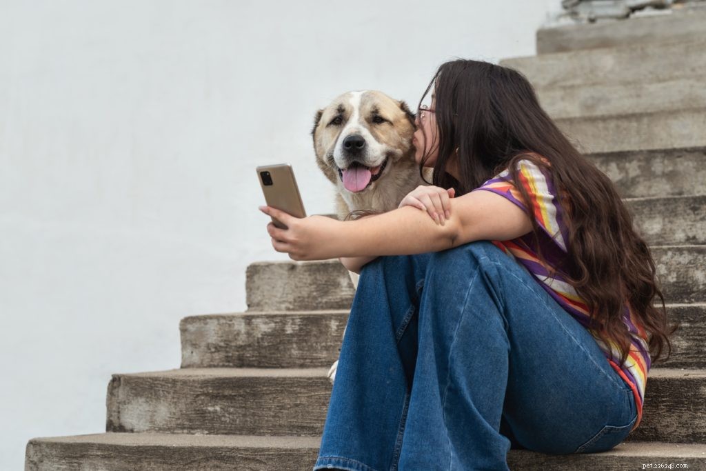 Top Pet TikTok Accounts Every Pet Lover Should Follow