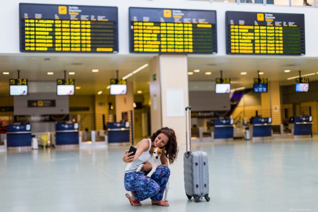 Prepare for Winter Vacations: National Pet Travel Safety Day Tips for Safe Journeys