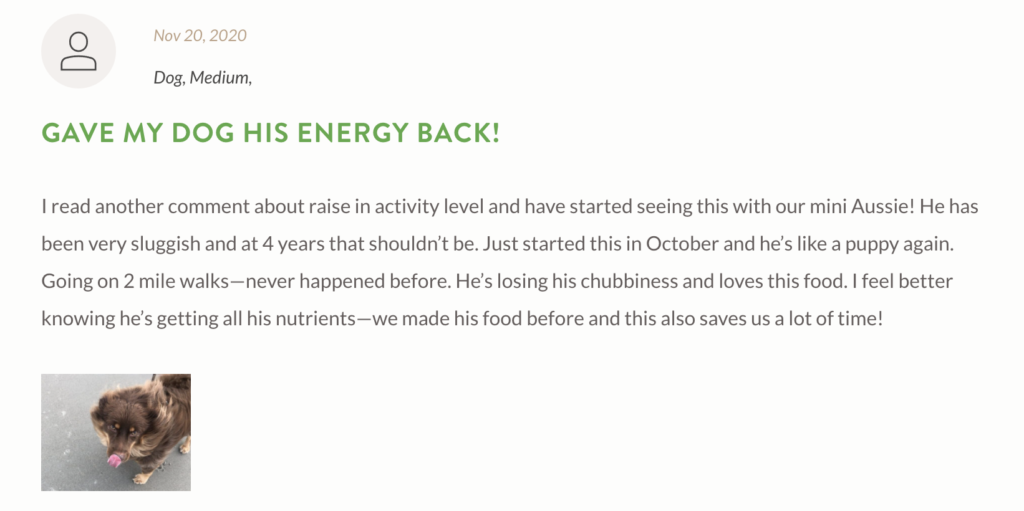 What to Expect When Switching Your Pet to Fresh Food